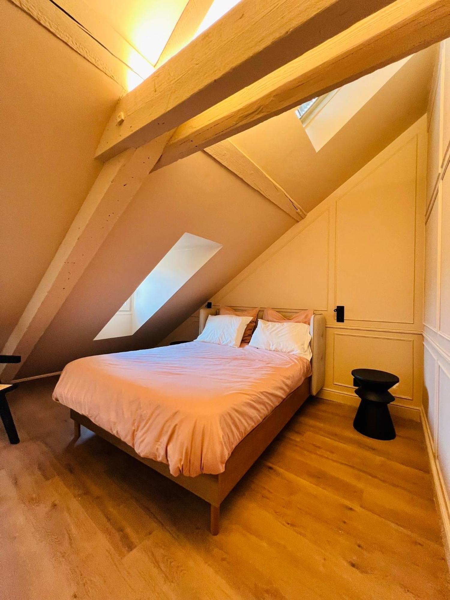 Chez Sandrine, Mon Appartement Elegant + Parking Estrasburgo Exterior foto